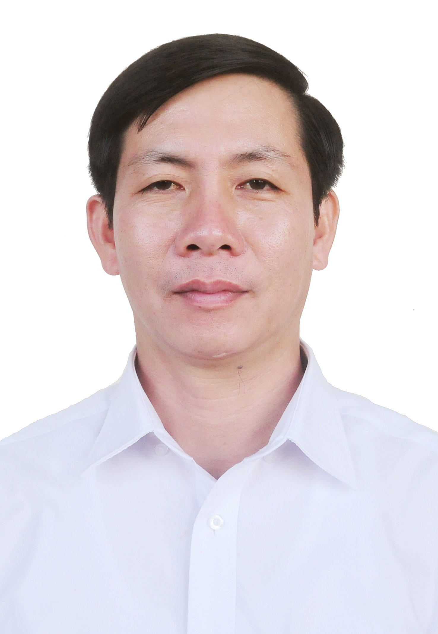 Không có ảnh
